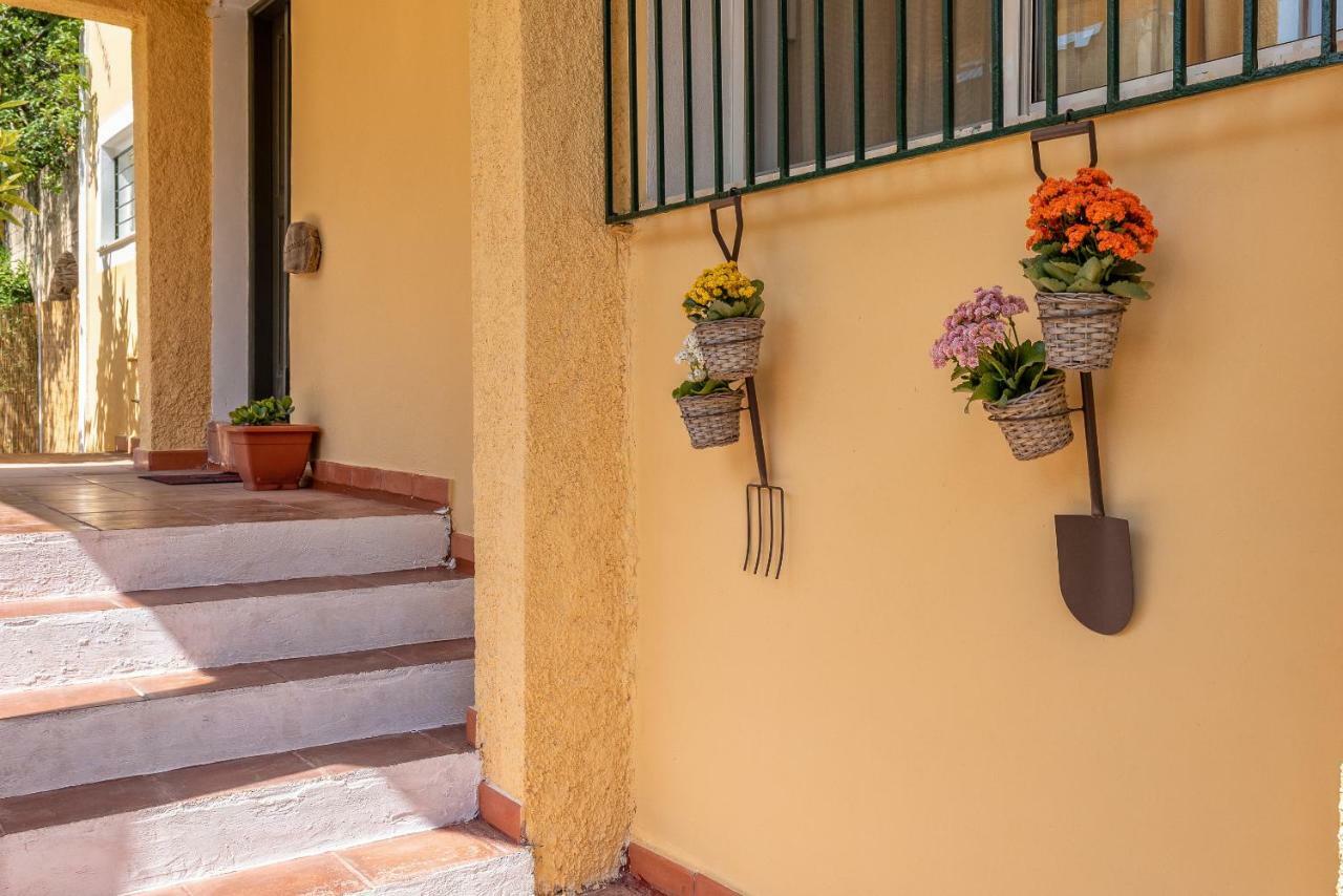 Verde E Mare Villa & Apartment Tsilivi  Luaran gambar